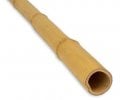 Tyč bambusová 1ks - 105cm